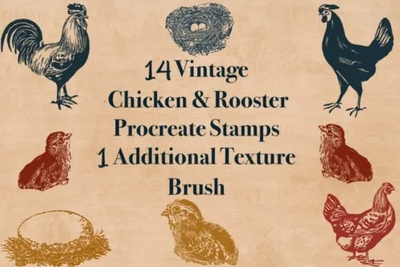 15 Vintage Chicken Stamps for Procreate - free Procreate brush pack