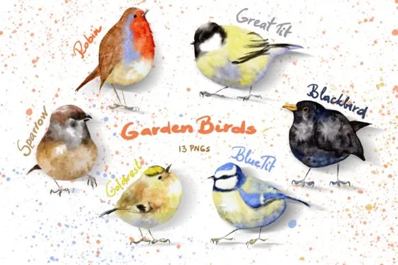 Watercolor Procreate Garden Birds Set - free Procreate brush pack