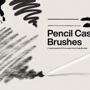 Pencil Case Brushes