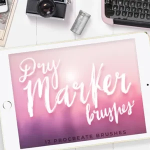 Dry Marker Brushes