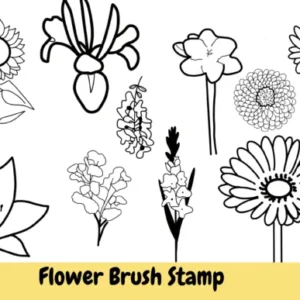 Flower Blossom Brush Stamps Procreate