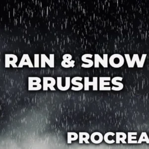 Rain and Snow Brushes