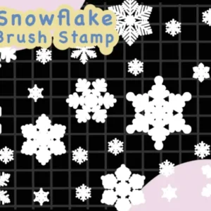 Snowflake Brush Stamp Procreate