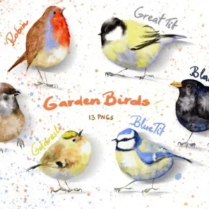 Watercolor Procreate Garden Birds Set
