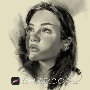Charcoal brushes procreate free