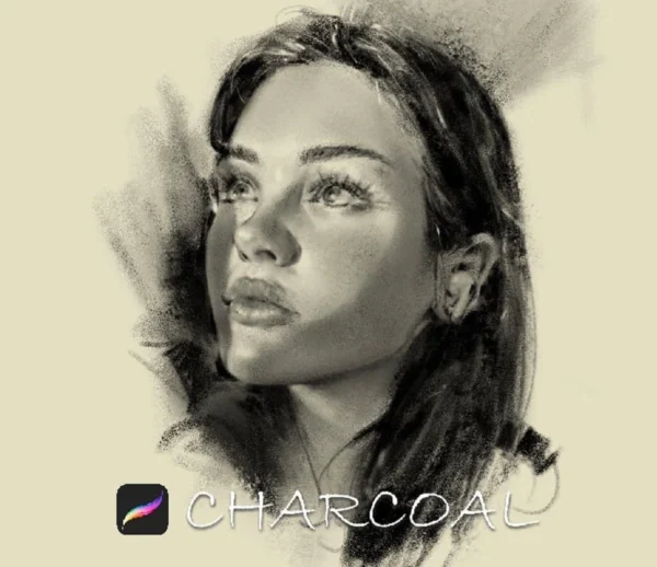 Charcoal brushes procreate free