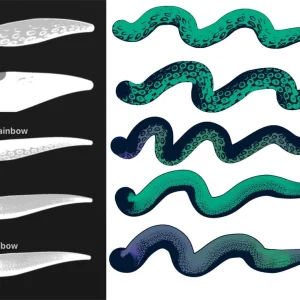 free tentacles brushes