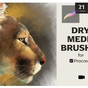 ja dry media set for procreate